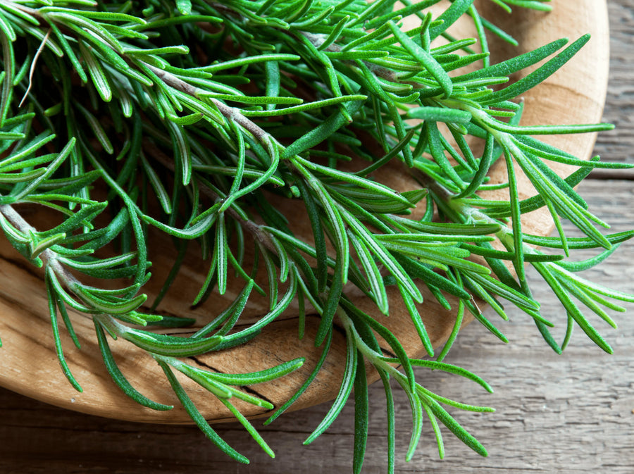 Rosemary